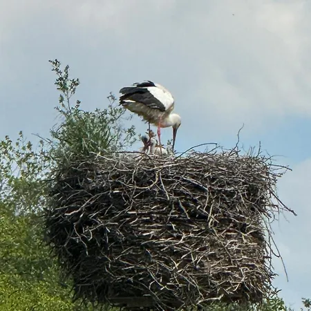 Milchverliebt Apartament Osten