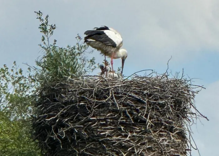 Milchverliebt 公寓 Osten